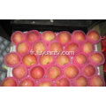 Qualité standard d&#39;exportation de pomme fraîche de Fuji